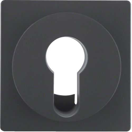 Berker 15076086 Zentralstück für Schlüsselschalter/-taster Q.1/Q.3 anthrazit, samt Mesch Shop Berker 15076086 Zentralstück für Schlüsselschalter/-taster Q.1/Q.3 anthrazit, samt Mesch Shop